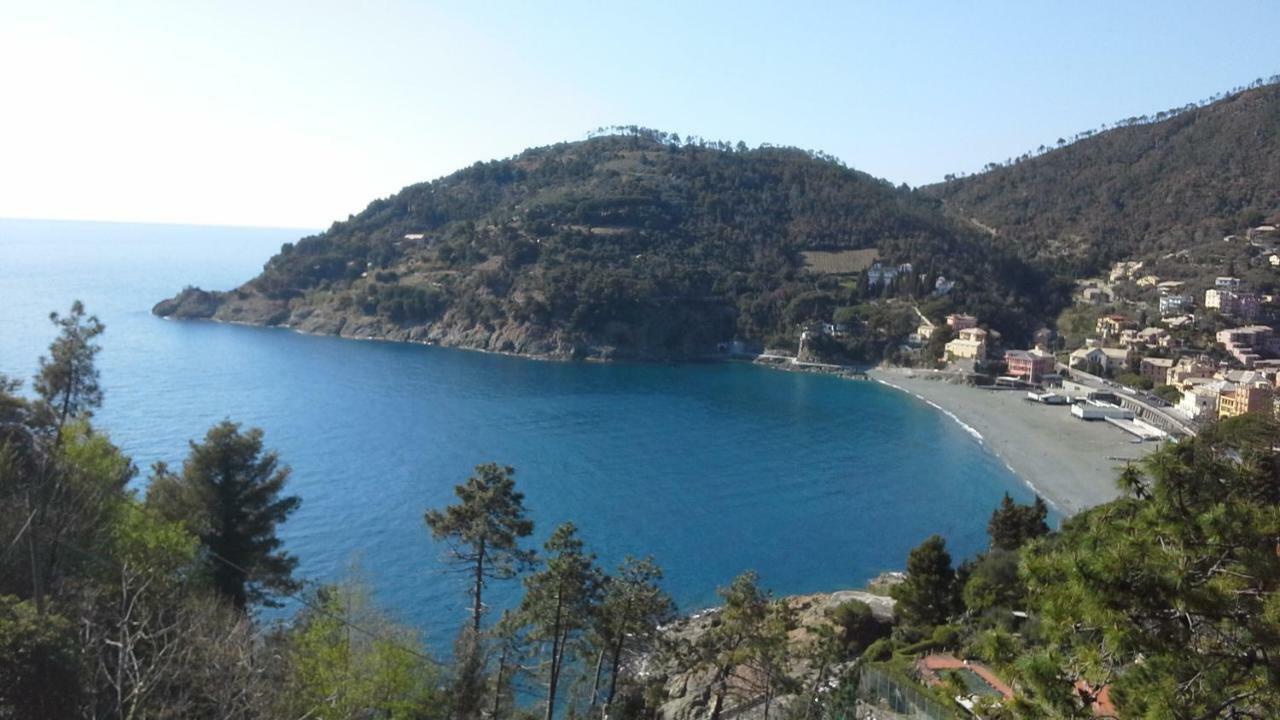 Villa Mimosa Splendida Vista Mare Bonassola Exterior photo